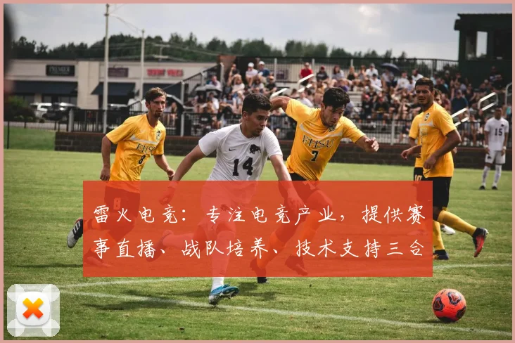 雷火电竞：专注电竞产业，提供赛事直播、战队培养、技术支持三合一专业公司