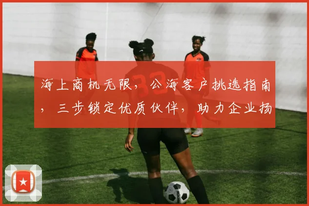 海上商机无限，公海客户挑选指南，三步锁定优质伙伴，助力企业扬帆起航，三招制胜