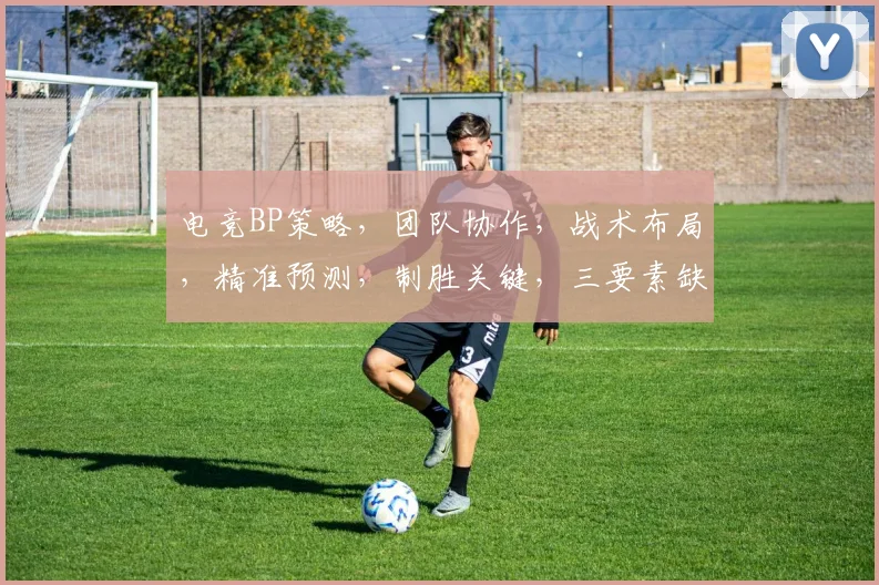 电竞BP策略，团队协作，战术布局，精准预测，制胜关键，三要素缺一不可，